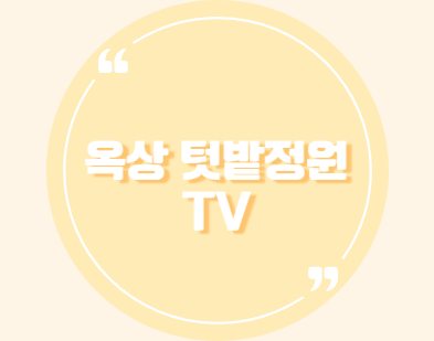 옥상 텃밭정원 TV